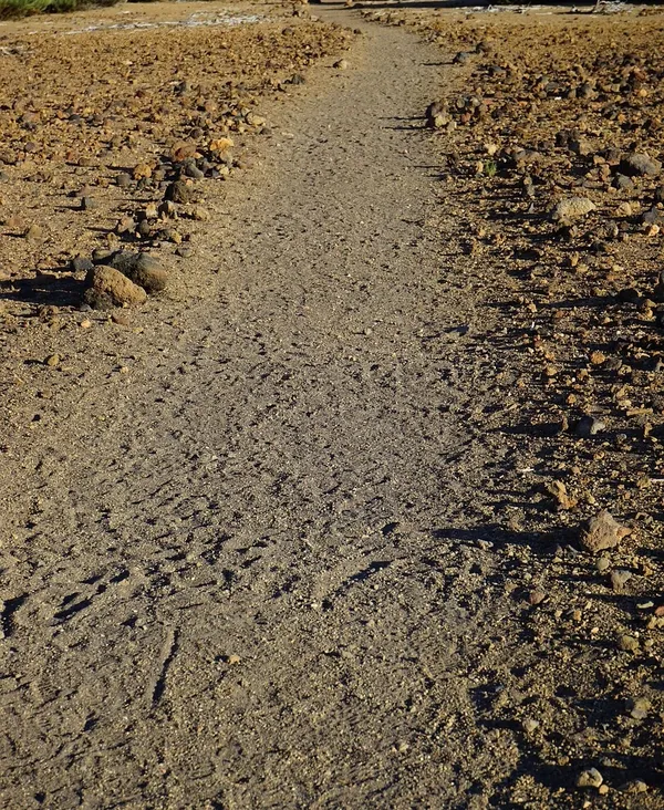 sentier