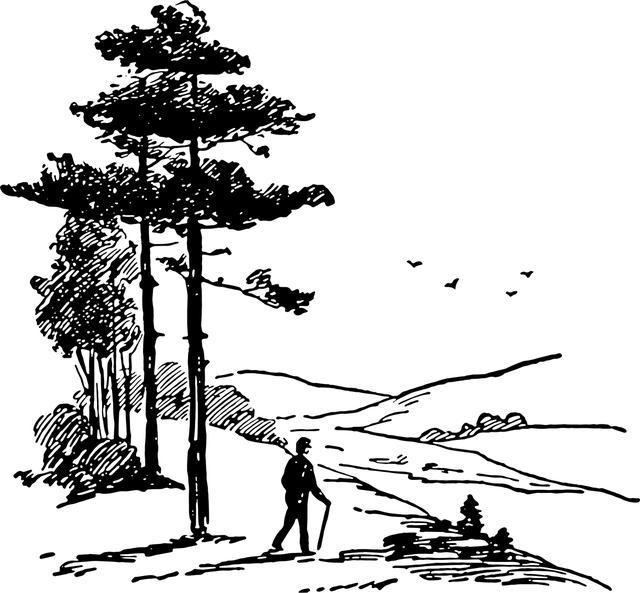 Première image