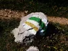 Cliquez ici pour voir l'image (poudeinter.jpg)