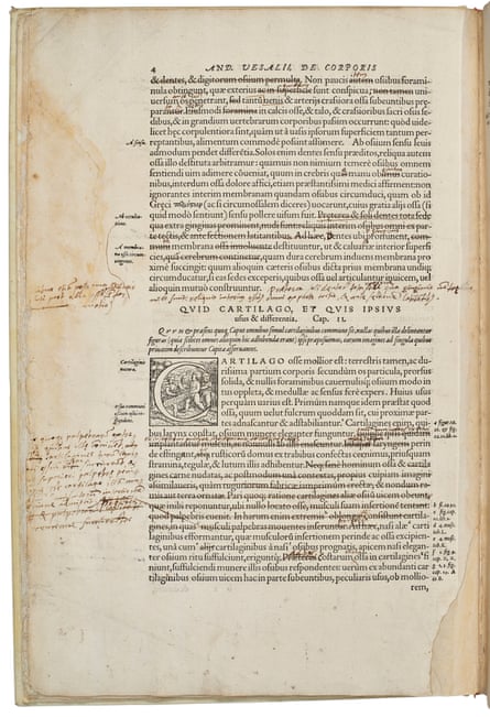 An annotated page from Vesalius’s De Humani Corporis Fabrica Libri Septem from 1543