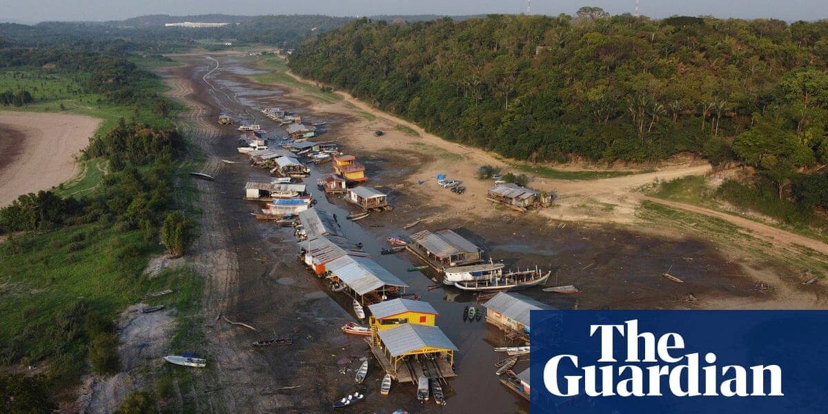 A recent study revealed that the severe drought in the Amazon is a direct consequence of the climate crisis.