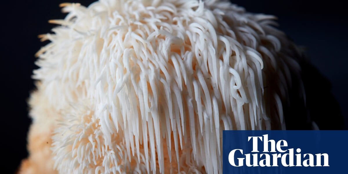 A sighting of a rare mushroom near Bristol has inspired a project to clone native fungi.