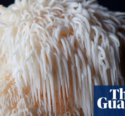 A sighting of a rare mushroom near Bristol has inspired a project to clone native fungi.