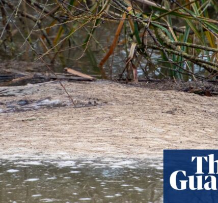 A significant number of rivers in England, specifically 83%, show signs of severe contamination from sewage and farming practices.