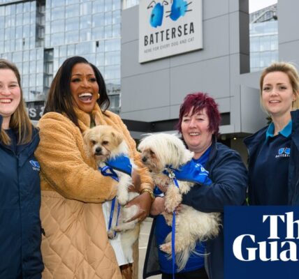 Alison Hammond has been announced as the new host of For the Love of Dogs, but she acknowledges that she can never truly replace Paul in the role.