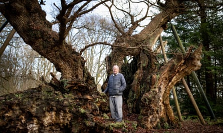 Ted Green, photographed in Windsor Great Park next to ancient tree King Offa's Oak, which is thought to be over 1000 years old. 20 December 2023