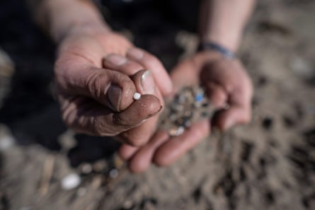 A volunteer shows nurdles collected during a beach clean organised on the Tregantle beach part of the Whitesand Bay, Freathy.