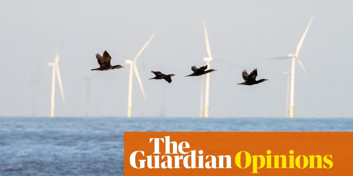 Australia's efforts to increase renewable energy sources should not harm biodiversity. A thoughtful approach is necessary. | Hugh Possingham