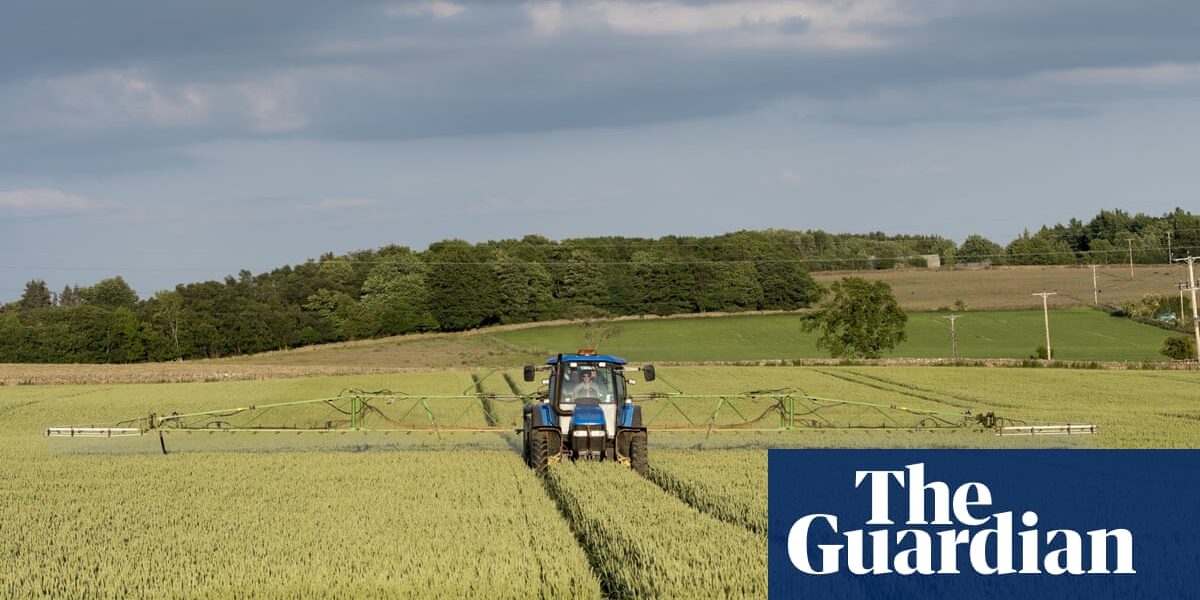 English farmers have accused ministers of not fulfilling their promise to allocate funds for post-Brexit spending.