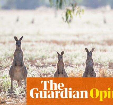 I am gathering kangaroo feces - and our study has the potential to preserve numerous marsupial species | Angela Russell