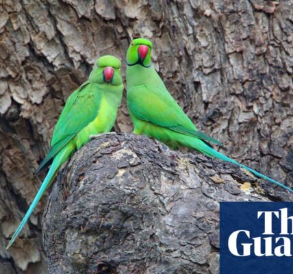 "Journal Entry from the Countryside: Parakeets Visiting My Feeder as I Perch on the Fence" - Lev Parikian