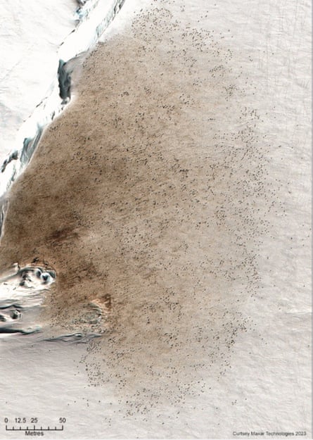 Satellite image of guano at the recently discovered emperor penguin colony at Vanhoeffen.