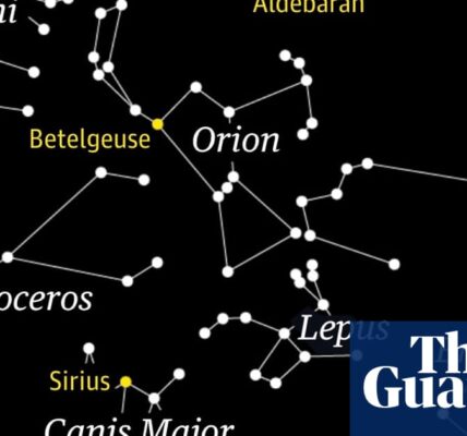 "Orion the hunter is the prominent feature in the winter sky, according to Starwatch."