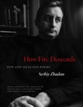 Book cover of How Fire Descends