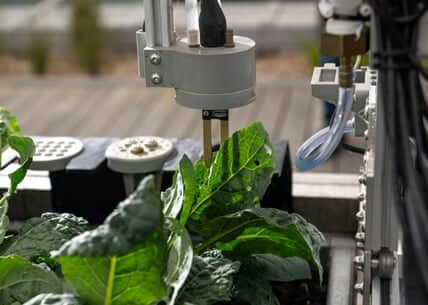 Reworded: The quest to cultivate food in space: utilizing farm robots, flavor capsules, and zero-gravity beer.