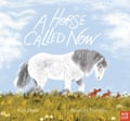 Horse Called Now by Ruth Doyle and Alexandra Finkeldey, Nosy Crow