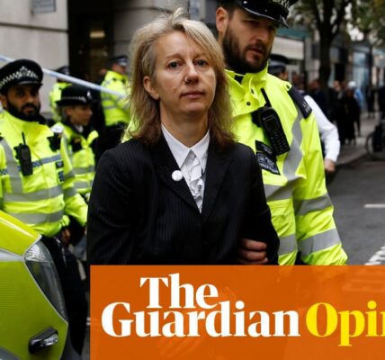 The Editorial from The Guardian discusses the importance of environmental protests in protecting democracy. They argue that dissent and peaceful protests are essential for ensuring that the government is held accountable and that necessary changes are made to protect the planet. The piece emphasizes the role of citizens in standing up for their beliefs and using their voices to challenge those in power.