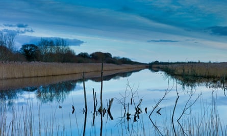 Avalon Marshes at Shapwick Heath nature reserve in Somerset, UK.