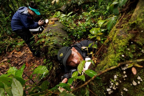A man in a cap gazes up at the camera at fungi growing on a tree trunk, while a woman in the background photographs some on fallen log