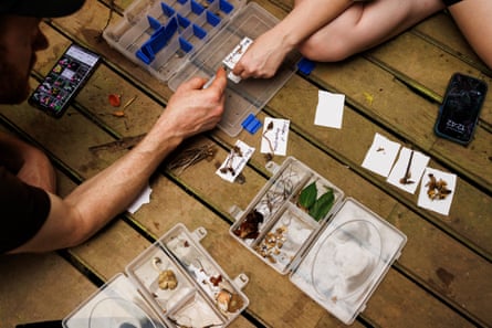 View from above of a man and a woman taking samples from three plastic collection boxes filled with fungi on a wooden decking