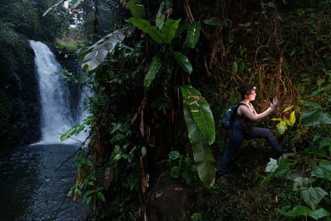 Quark examines a mushroom on the walls of the rainforest near a waterfall
