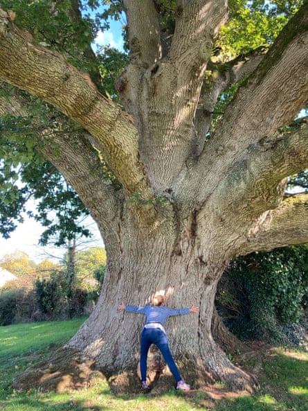 A woman hugs the oak tree before it fell