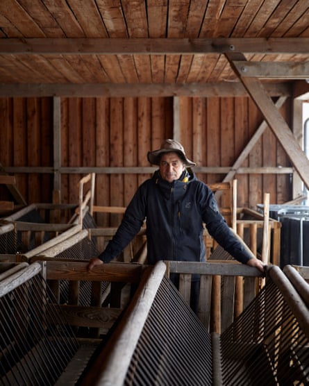 Shepherd Thomas Rebre leaning on wooden mangers in the barn where he keeps his sheep for part of the year.