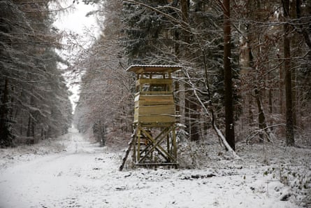 A wooden hide beside a track through a snowy forest