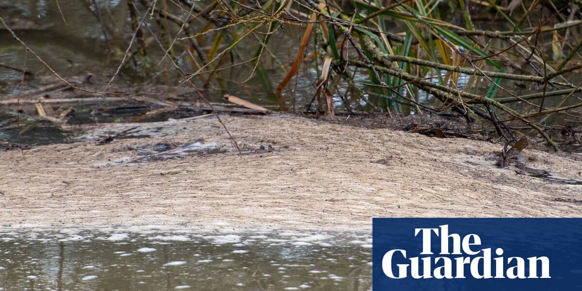The UK's water industry has experienced a four-month delay in implementing their urgent plan to address sewage pollution.