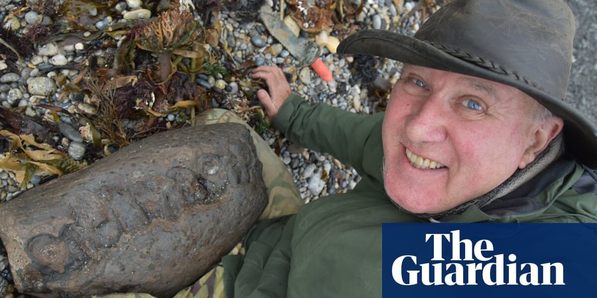 There are requests for the reptile star in Attenborough's hit show to be given the name of the person who discovered it.