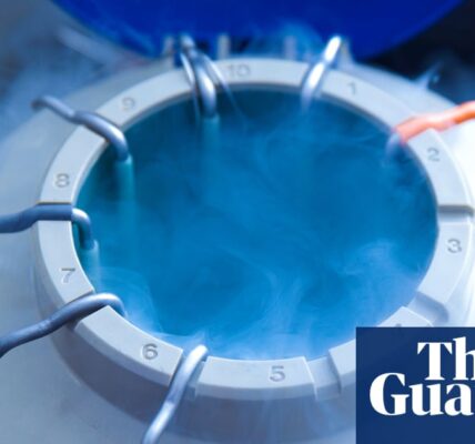 A new tool has been released in the UK that compares data on fertility treatment, specifically in vitro fertilization (IVF).