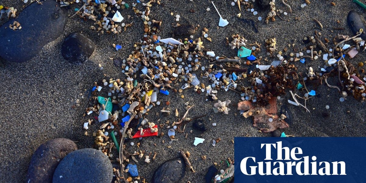 A study showed that microplastics were discovered in the placenta of every human tested.