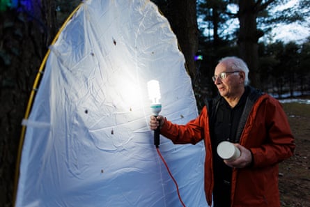 Paul Hebert holds a UV light up to a large white sheet to attract moths in his back yard