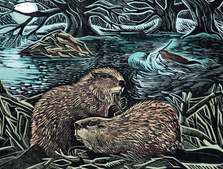 Beavers by Angela Harding from Isabella Tree’s new book.