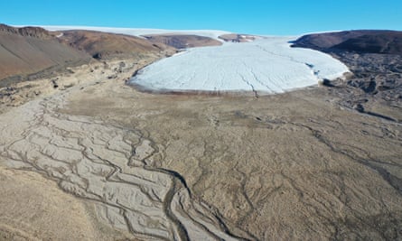 Climate specialists raise concern about flourishing vegetation on Greenland's ice sheet.