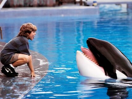 Did the true events behind Free Willy alter the narrative for captive orcas, as you previously misled us?