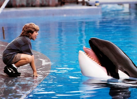 Did the true events behind Free Willy alter the narrative for captive orcas, as you previously misled us?