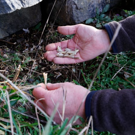 Hands holding small bones near the ground with rocks in the background