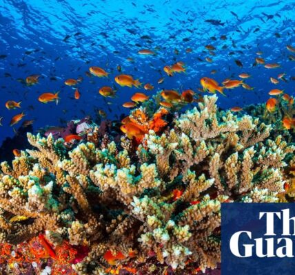 Labor informs Unesco that Australia is making progress towards meeting necessary climate targets to safeguard the Great Barrier Reef.