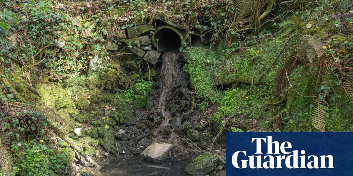 Managers of water companies in England and Wales may be subject to penalties for unauthorized release of sewage, resulting in the loss of bonuses.