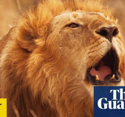 Review of David Attenborough's "Secret World of Sound" - the roar of the lions resembles Chewbacca passing gas.