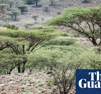 Scientists are warning that poorly planned tree planting in Africa could pose a threat to local ecosystems.