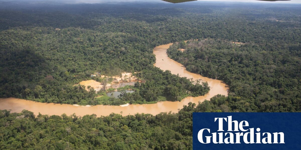 Scientists warn that by 2050, the Amazon rainforest may reach a critical point where it cannot recover. This warning serves as a reminder of the urgency to protect and preserve this crucial ecosystem.