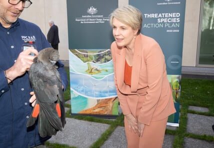 Tanya Plibersek has been encouraged to prevent the approval of a coal mine in Queensland that would harm the environment and destroy koala habitats.