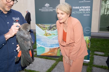 Tanya Plibersek has been encouraged to prevent the approval of a coal mine in Queensland that would harm the environment and destroy koala habitats.