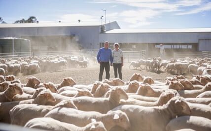 The famous carbon-neutral farm in Australia has reached its saturation point and can no longer offset its emissions.