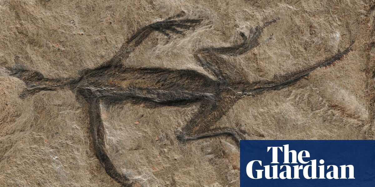 The reptile fossil, believed to be 280 million years old, was revealed to be a forgery.