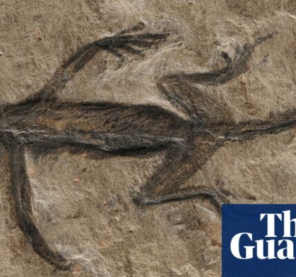 The reptile fossil, believed to be 280 million years old, was revealed to be a forgery.