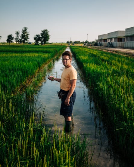 A researcher in the experimental rice fields at Ente Nazionale Risi