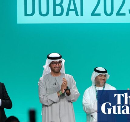 The United Nations cautions against searching for ways to exploit the system, following Saudi Arabia's suggestion that transitioning away from fossil fuels is only one potential solution.